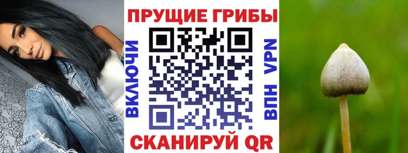 купить  цена  Родники  Галлюциногенные грибы мухоморы 